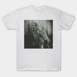 Mysterious Owl T-Shirt